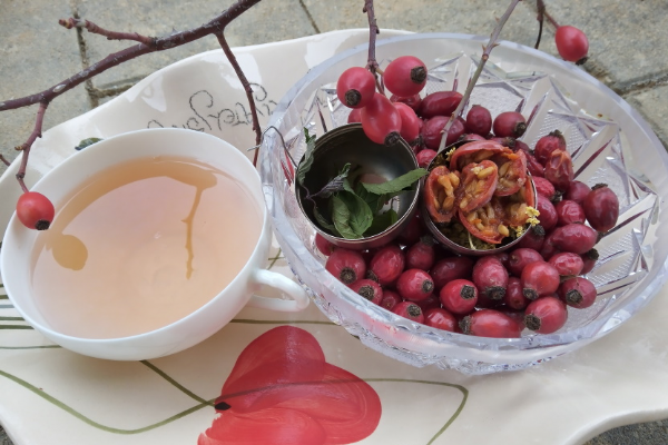 Naravna hrana: Vitamin C in recept za šipkov čaj