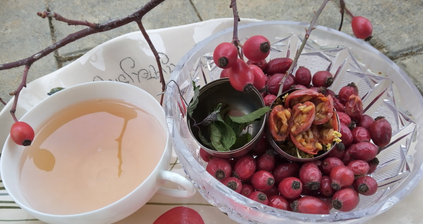 Naravna hrana: Vitamin C in recept za šipkov čaj