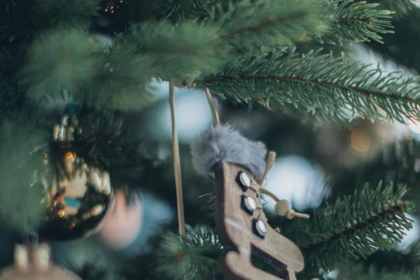 Sporočilo tvojega BOŽIČNEGA DREVESCA...