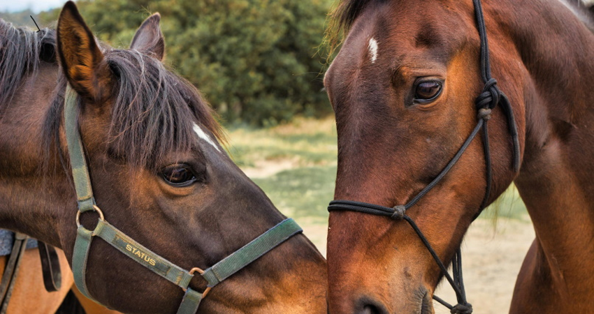 Največ šteje LJUBEZEN.