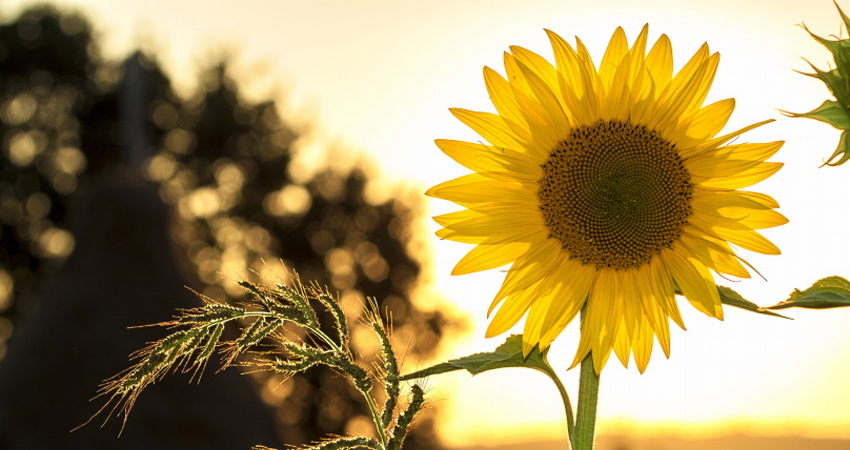 Nujna zimska oprema - Vitamin D!